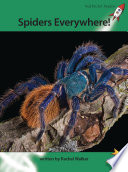 Spiders Everywhere! cover