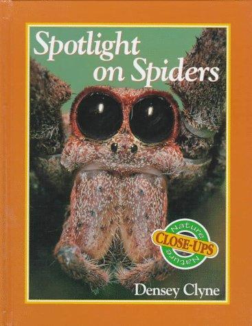 Spotlight on Spiders cover