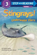 Stingrays! Underwater Fliers cover