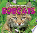 Bobcats cover