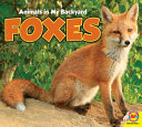 Foxes cover