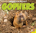 Gophers cover