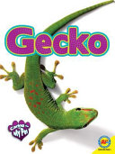 Gecko (Caring for My Pet) cover