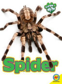 Spider (Caring for My Pet) cover