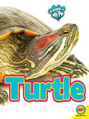 Turtle (Caring for My Pet) cover