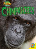 Chimpanzees cover