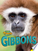 Gibbons cover