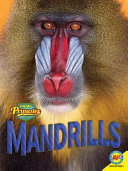 Mandrills cover