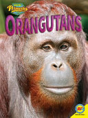 Orangutans cover