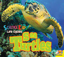 Sea Turtles cover