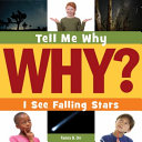 I See Falling Stars cover