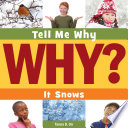 It Snows cover
