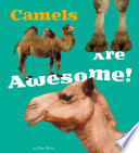 Camels Are Awesome! cover