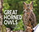 Great Horned Owls cover