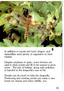 The Life Cycle of a Dragonfly cover