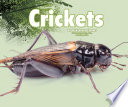 Crickets cover