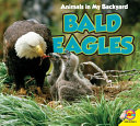 Bald Eagles cover