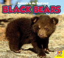 Black Bears cover