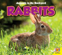 Rabbits cover