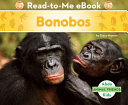 Bonobos cover
