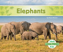 Elephants cover