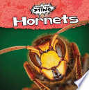 Hornets cover
