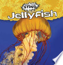 Jellyfish cover