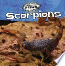 Scorpions cover