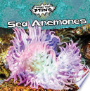 Sea Anemones cover