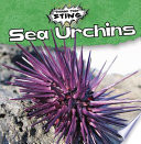 Sea Urchins cover