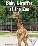 Baby Giraffes at the Zoo cover