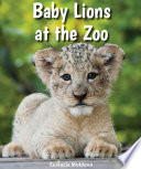 Baby Lions at the Zoo cover