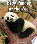 Baby Pandas at the Zoo cover