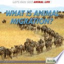 What Is Animal Migration? cover