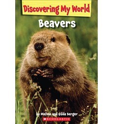 Beavers cover