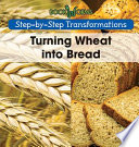 Turning Wheat into Bread cover