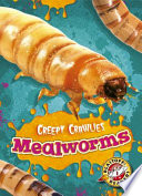 Mealworms cover
