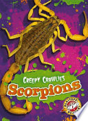 Scorpions cover