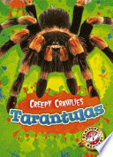 Tarantulas cover