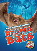 Brown Bats cover