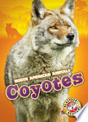 Coyotes cover