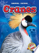 Cranes cover