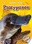 Platypuses cover