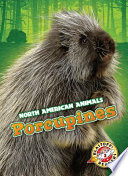 Porcupines cover