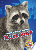 Raccoons cover