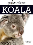 Koala cover