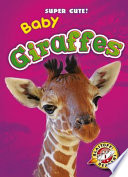 Baby Giraffes cover