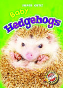 Baby Hedgehogs cover