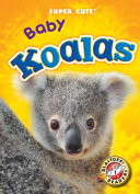 Baby Koalas cover