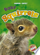 Baby Squirrels cover